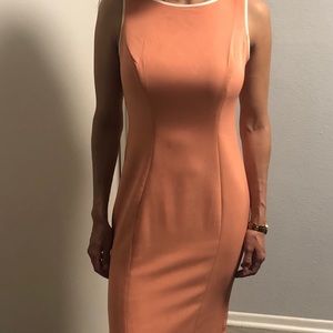 Pink Salmon Eva Mendez Dress from NY&CO.